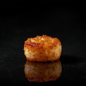 Scallop